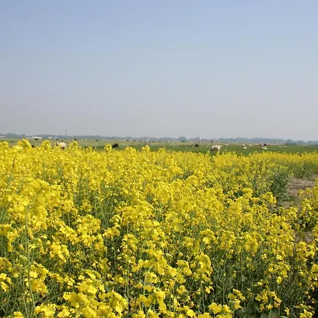 Gaestehaus Gudrun בית הארחה 3*