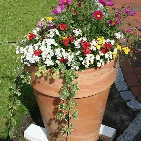 Affittacamere Gaestehaus Gudrun Tönning