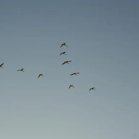 Gaestehaus Gudrun Affittacamere 3*