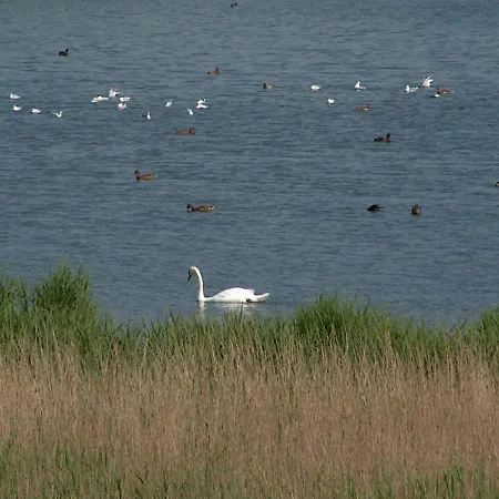 בית הארחה Gaestehaus Gudrun