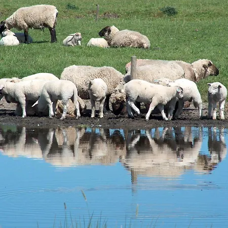 Gaestehaus Gudrun Affittacamere