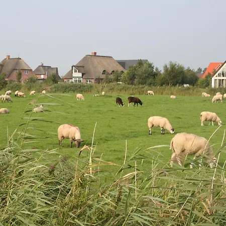 Gaestehaus Gudrun Tönning