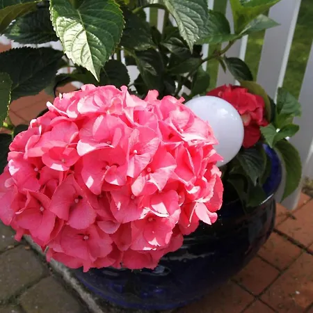 Gaestehaus Gudrun Tönning