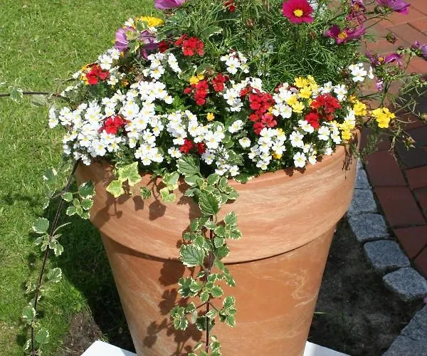 بيت ضيافة Gaestehaus Gudrun Tönning