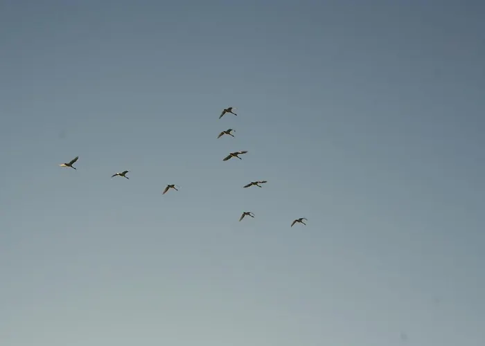 Gaestehaus Gudrun Konukevi 3*